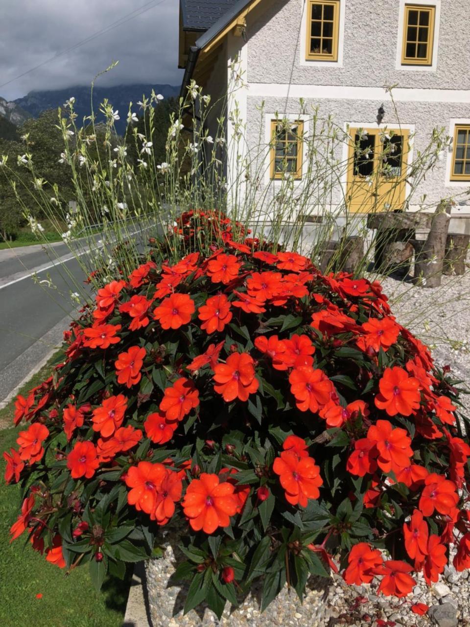 Boutique Rooms Pri Rogovilcu 솔차바 외부 사진
